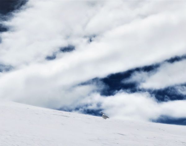 Geführte Tages-Skitour